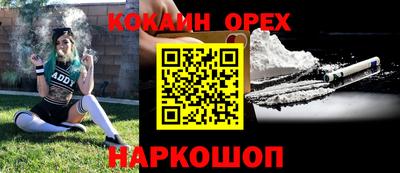 шишки Абакан