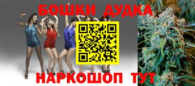 шишки Абакан