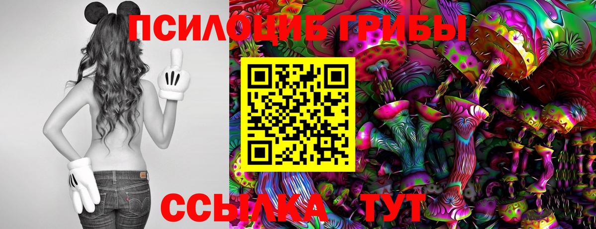 Балабаново  Галлюциногенные грибы MAGIC MUSHROOMS  Вход с VPN  Псилоцибиновые грибы Magic Shrooms 