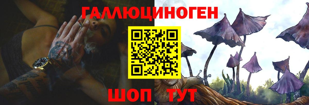 Псилоцибиновые грибы Cubensis Балабаново